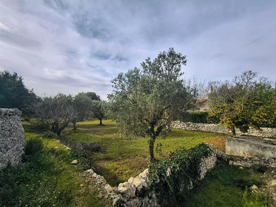 Immagine 5 di Casa indipendente in vendita  in Contrada Impalata a Monopoli