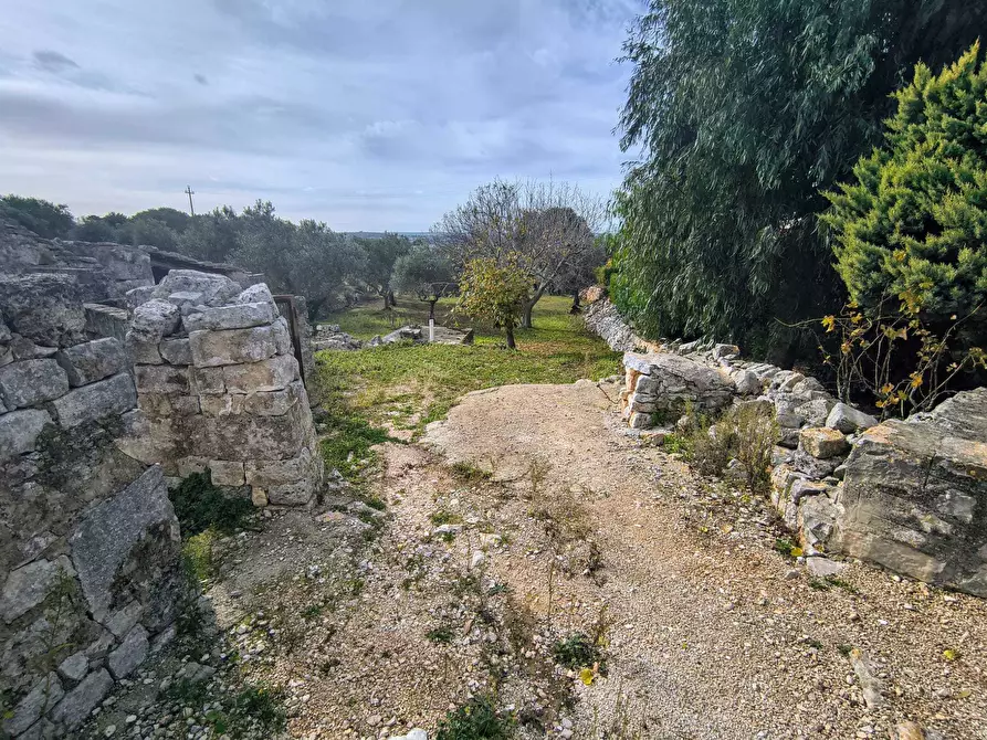 Immagine 12 di Casa indipendente in vendita  in Contrada Impalata a Monopoli