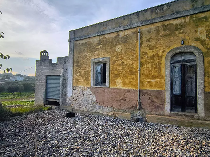 Immagine 3 di Casa indipendente in vendita  in Contrada Piangevino a Monopoli