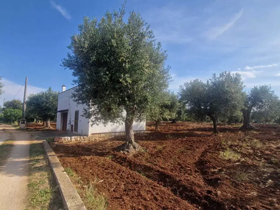 Immagine 5 di Casa indipendente in vendita  in C.da Caramanna a Monopoli