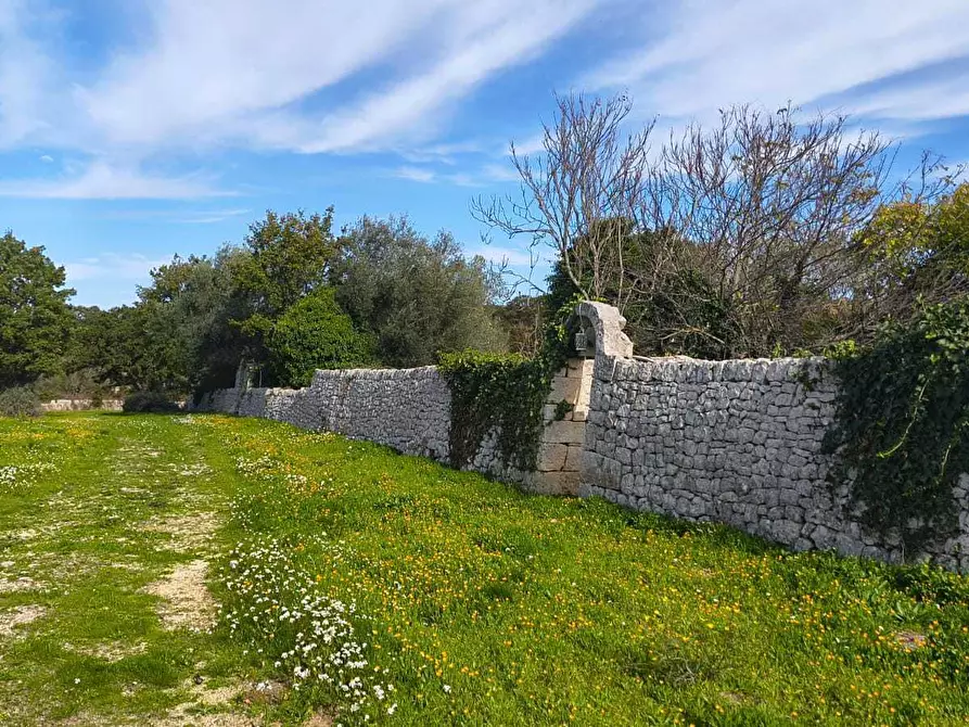 Immagine 12 di Casa indipendente in vendita  in Contrada zecca a Monopoli
