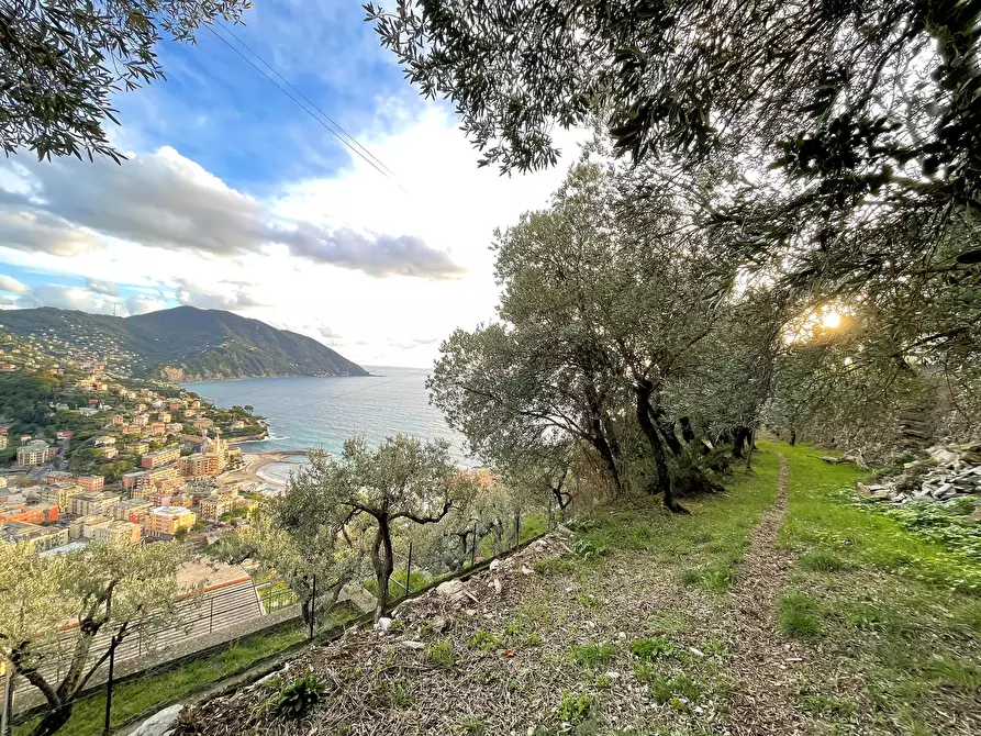 Immagine 1 di Terreno edificabile in vendita  in Via Salvo D'Acquisto 66 a Recco