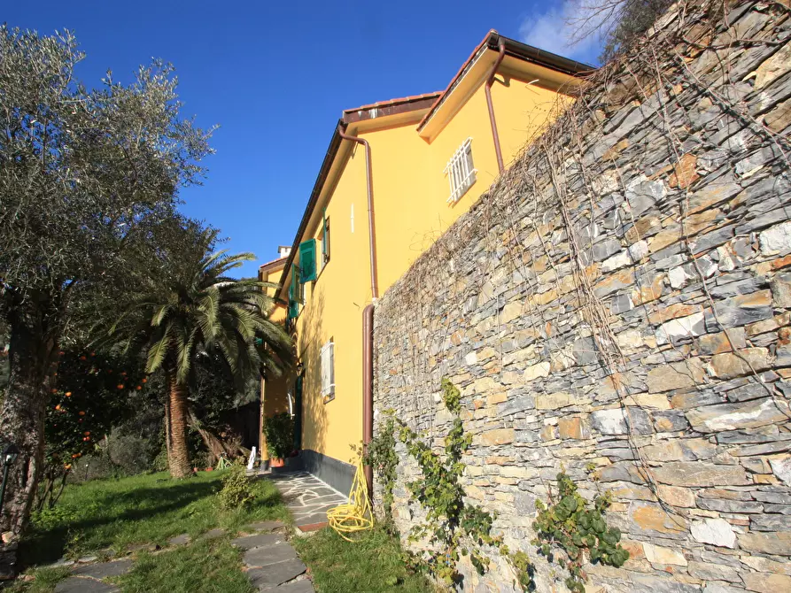 Immagine 33 di Casa indipendente in vendita  a Recco