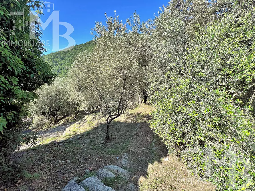Immagine 32 di Casa semindipendente in vendita  in Via Posato 21 a Avegno
