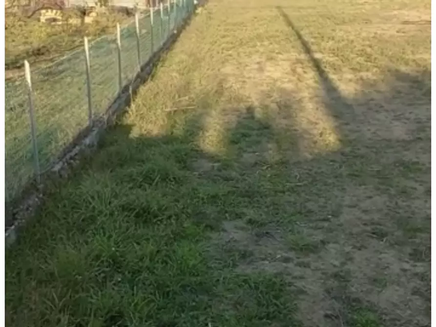 Immagine 3 di Terreno agricolo in vendita  a Pietrasanta