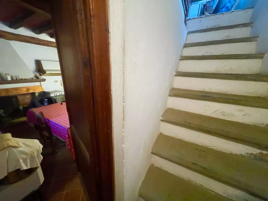 Immagine 19 di Rustico / casale in vendita  a Camaiore