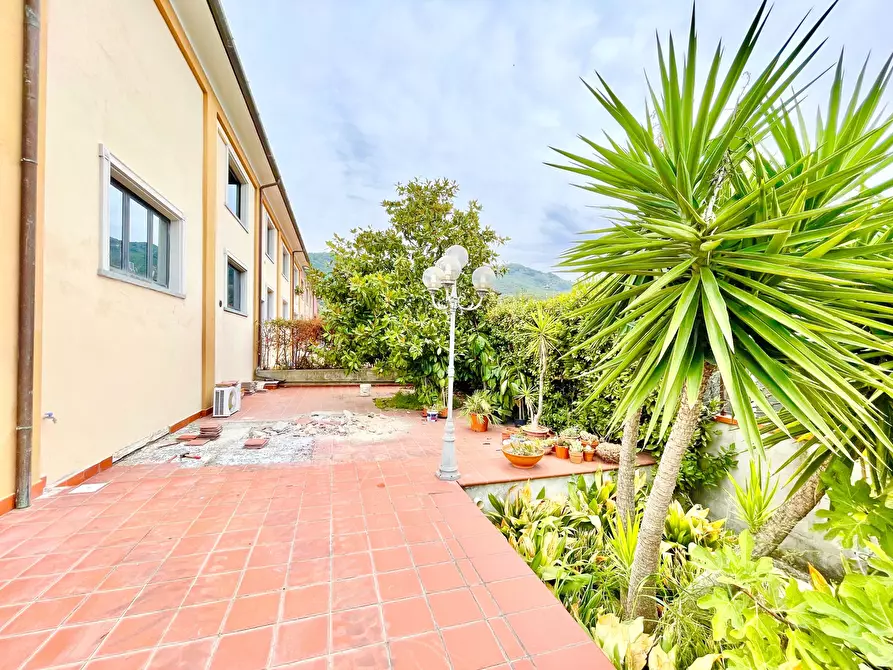 Immagine 5 di Porzione di casa in vendita  a Pietrasanta