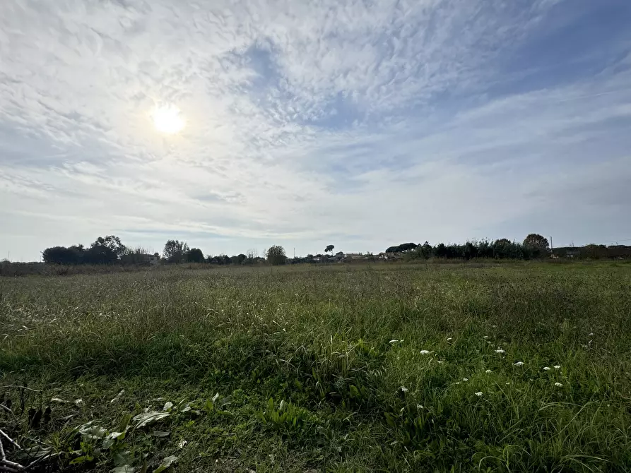Immagine 73 di Rustico / casale in vendita  a Pietrasanta