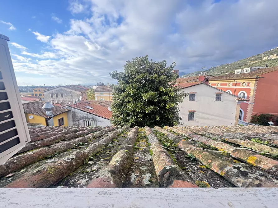 Immagine 36 di Mansarda in affitto  a Pietrasanta