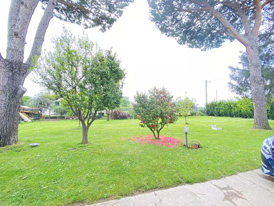 Immagine 2 di Casa indipendente in affitto  a Pietrasanta