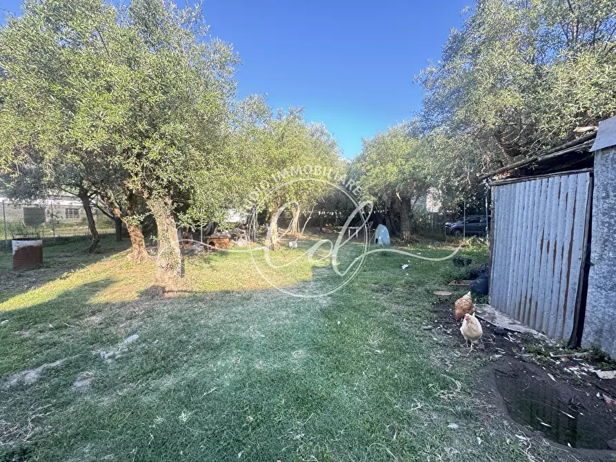 Immagine 18 di Porzione di casa in vendita  a Seravezza