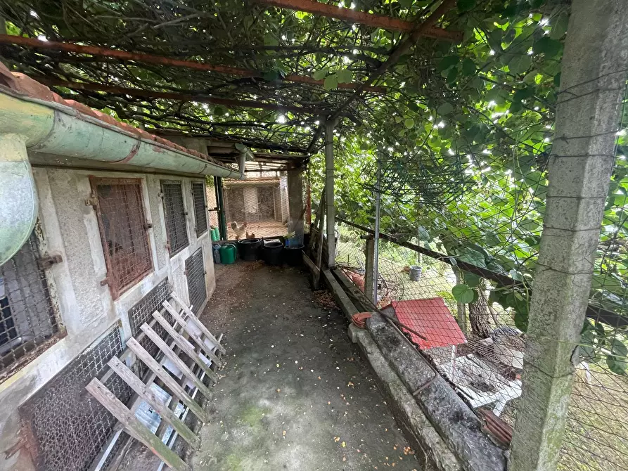 Immagine 64 di Porzione di casa in vendita  a Pietrasanta