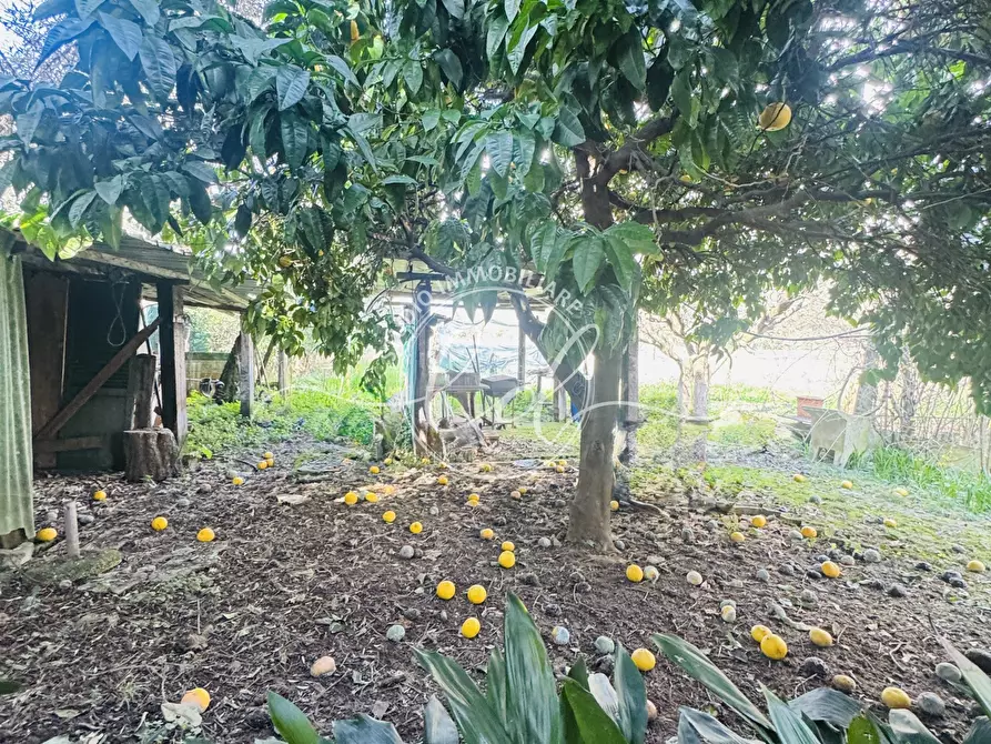 Immagine 22 di Porzione di casa in vendita  a Seravezza