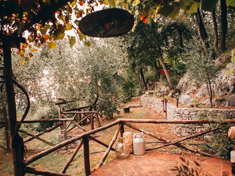 Immagine 5 di Rustico / casale in affitto  a Camaiore