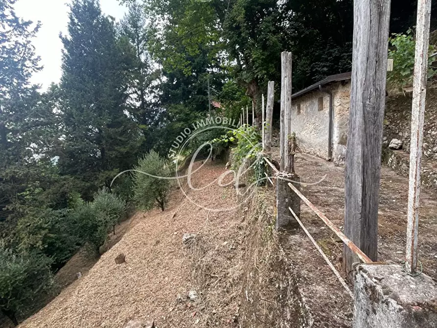 Immagine 25 di Porzione di casa in vendita  a Camaiore