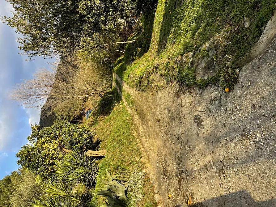 Immagine 23 di Porzione di casa in vendita  a Pietrasanta