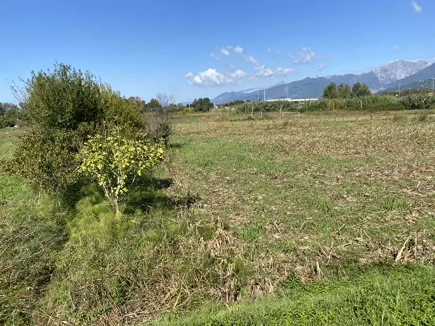 Immagine 2 di Rustico / casale in vendita  a Pietrasanta