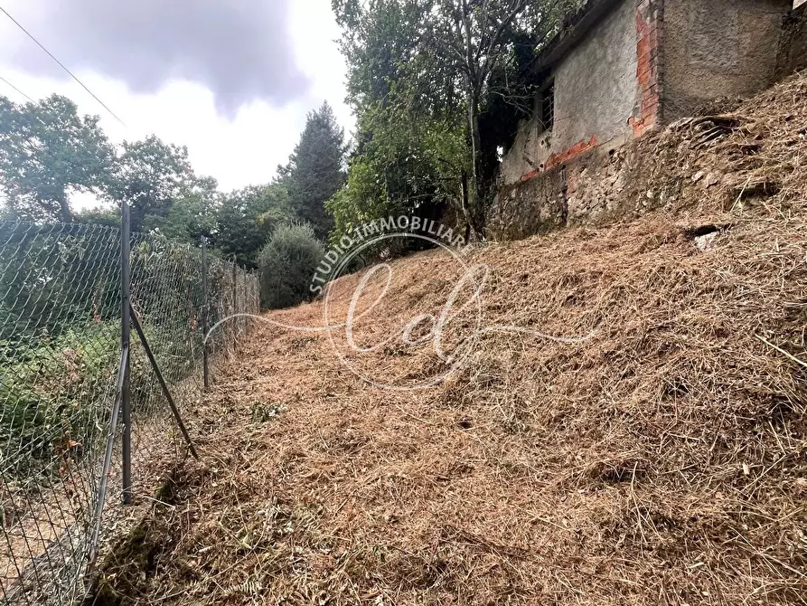Immagine 29 di Porzione di casa in vendita  a Camaiore