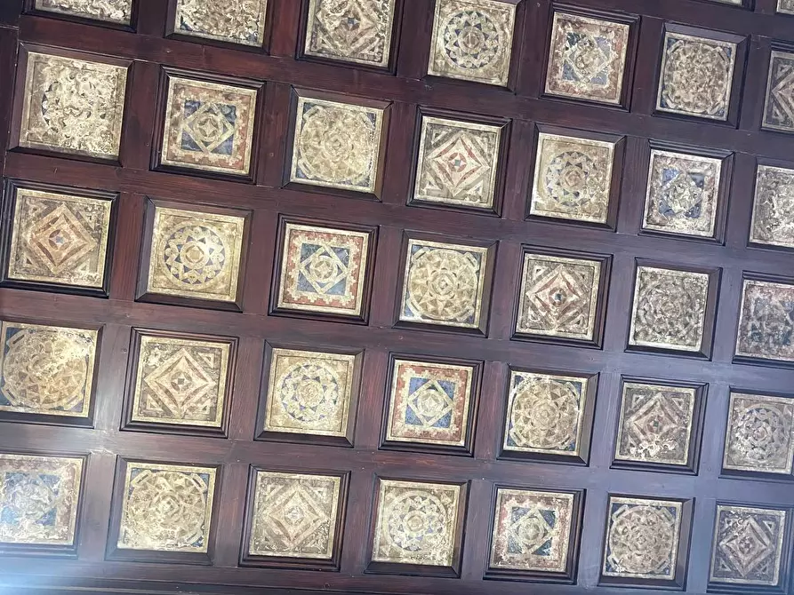 Immagine 38 di Rustico / casale in vendita  a Pietrasanta