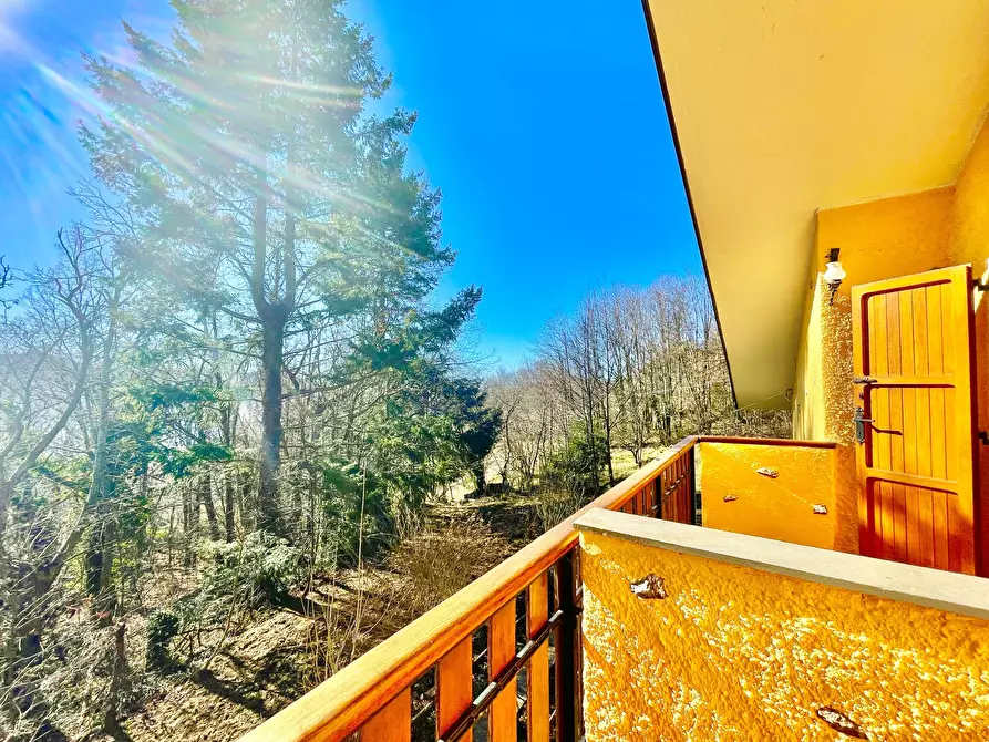 Immagine 30 di Casa bifamiliare in vendita  a Stazzema