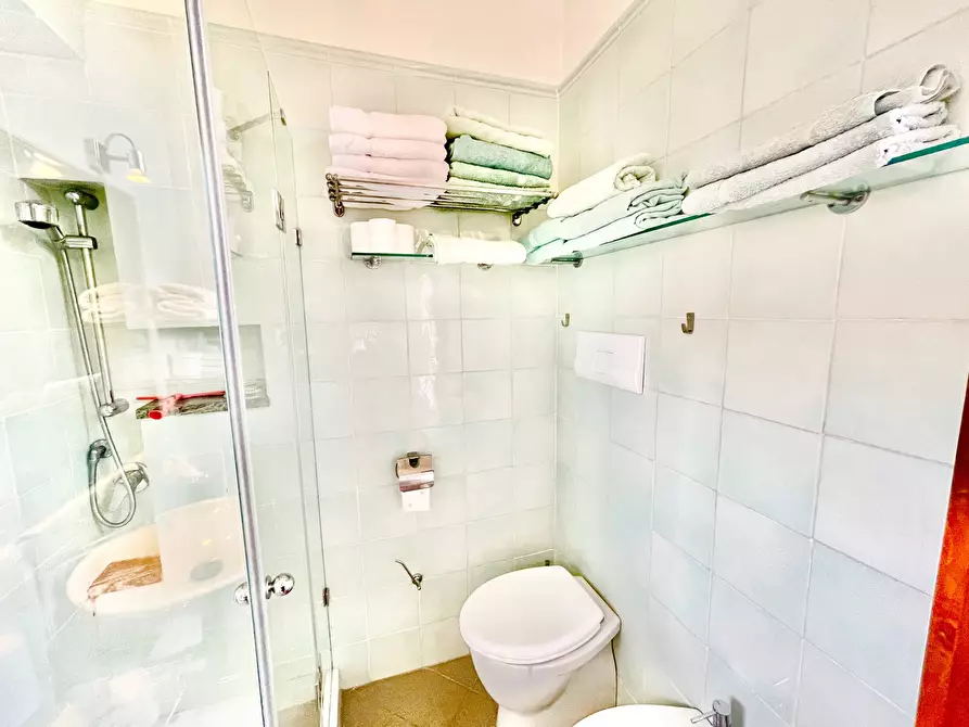 Immagine 40 di Trilocale in affitto  a Pietrasanta