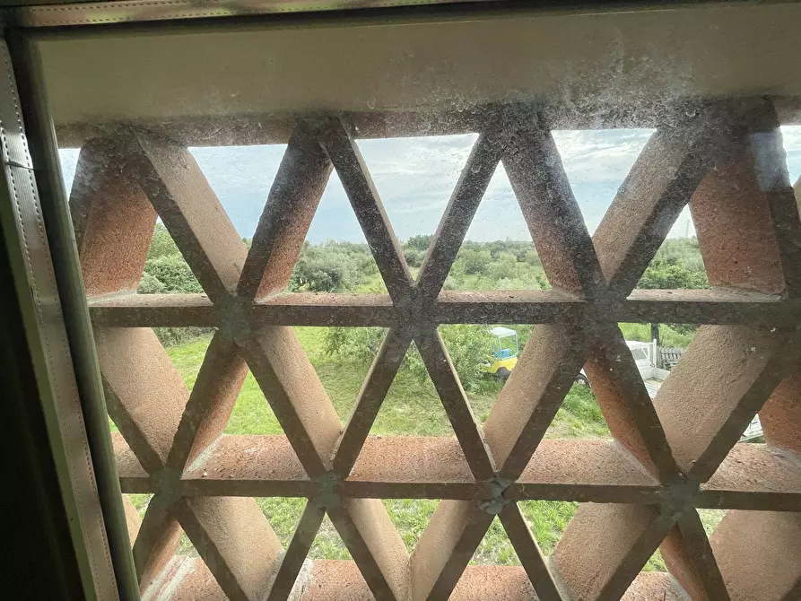 Immagine 34 di Casa indipendente in vendita  a Pietrasanta