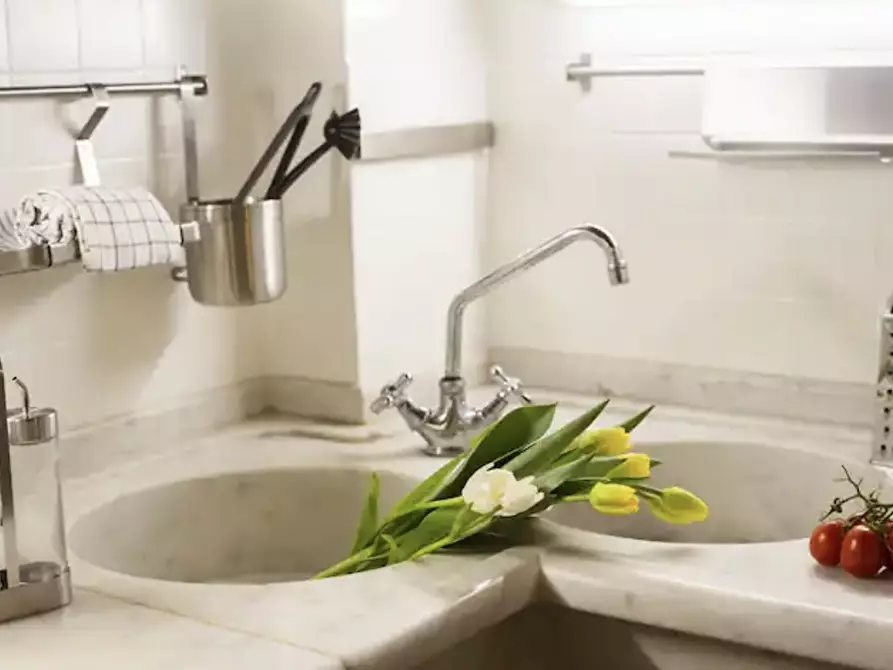 Immagine 22 di Terratetto in affitto  a Pietrasanta