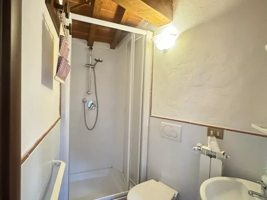 Immagine 33 di Terratetto in vendita  a Camaiore