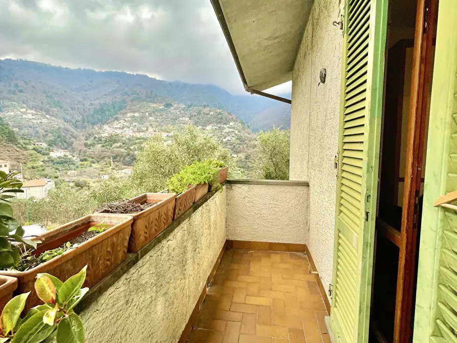 Immagine 27 di Casa indipendente in vendita  a Montignoso