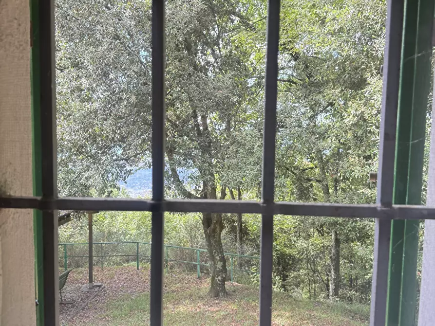 Immagine 17 di Rustico / casale in vendita  a Pietrasanta
