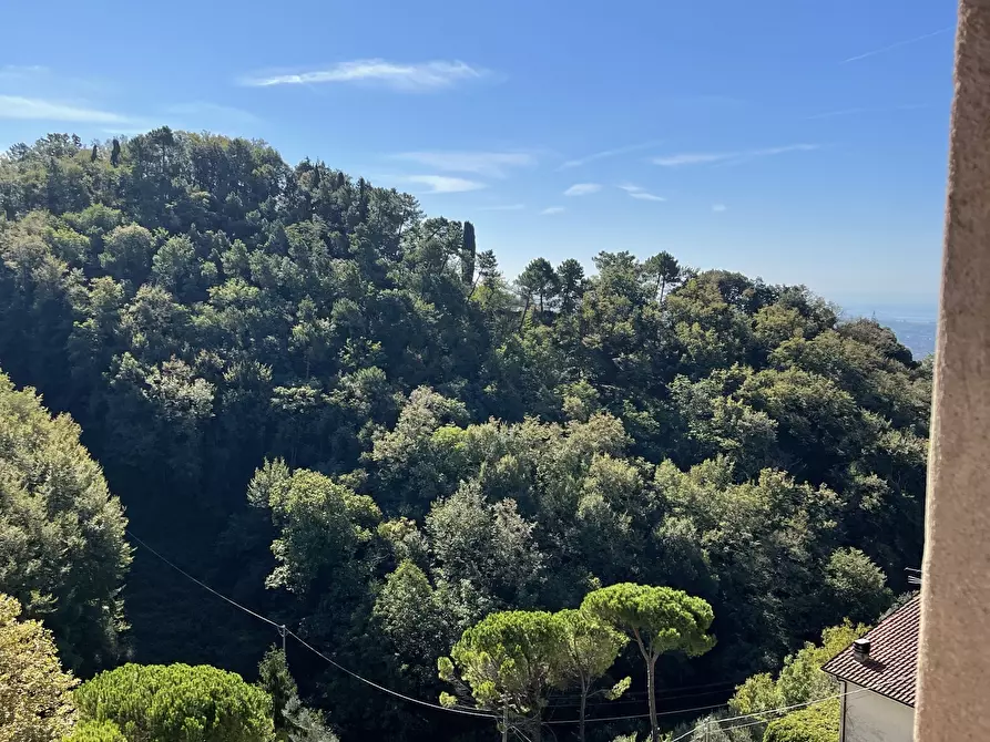 Immagine 5 di Porzione di casa in vendita  a Camaiore