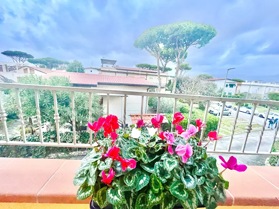 Immagine 11 di Quadrilocale in vendita  a Camaiore