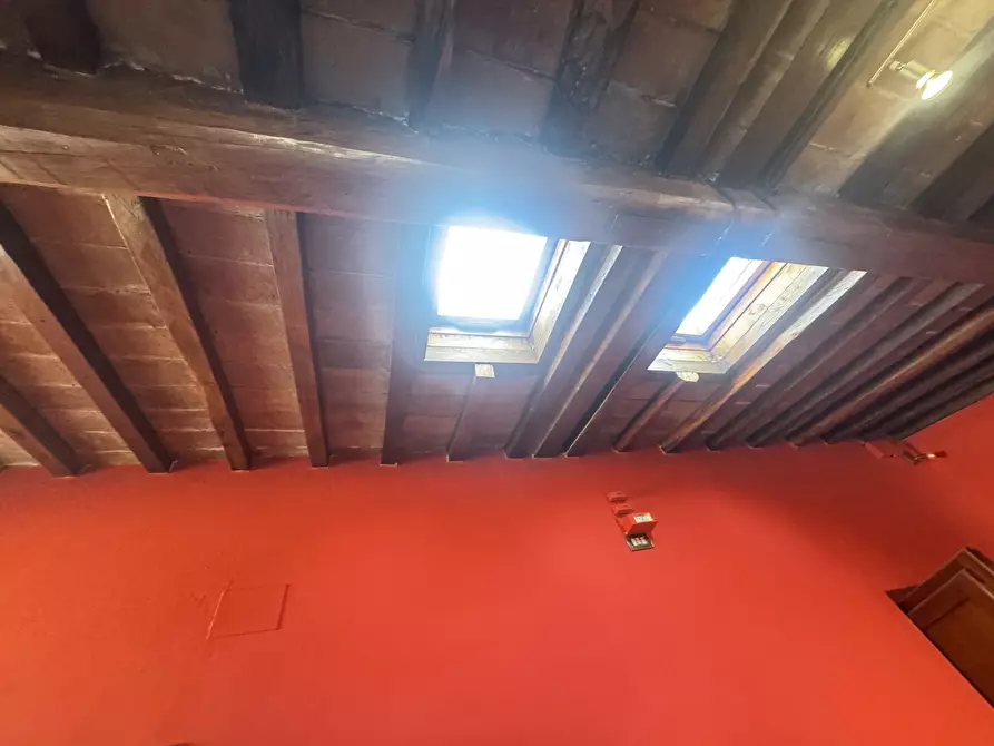 Immagine 16 di Mansarda in affitto  a Pietrasanta