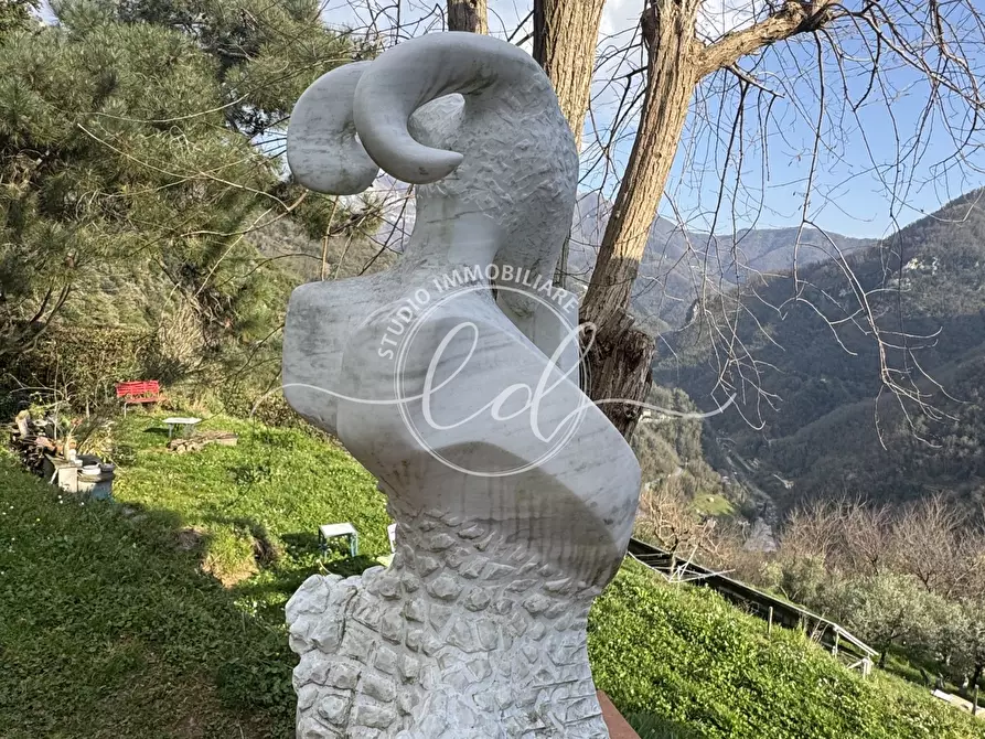 Immagine 69 di Casa indipendente in vendita  a Stazzema