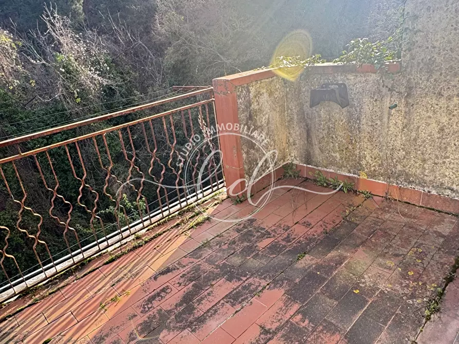 Immagine 27 di Terratetto in vendita  a Pietrasanta