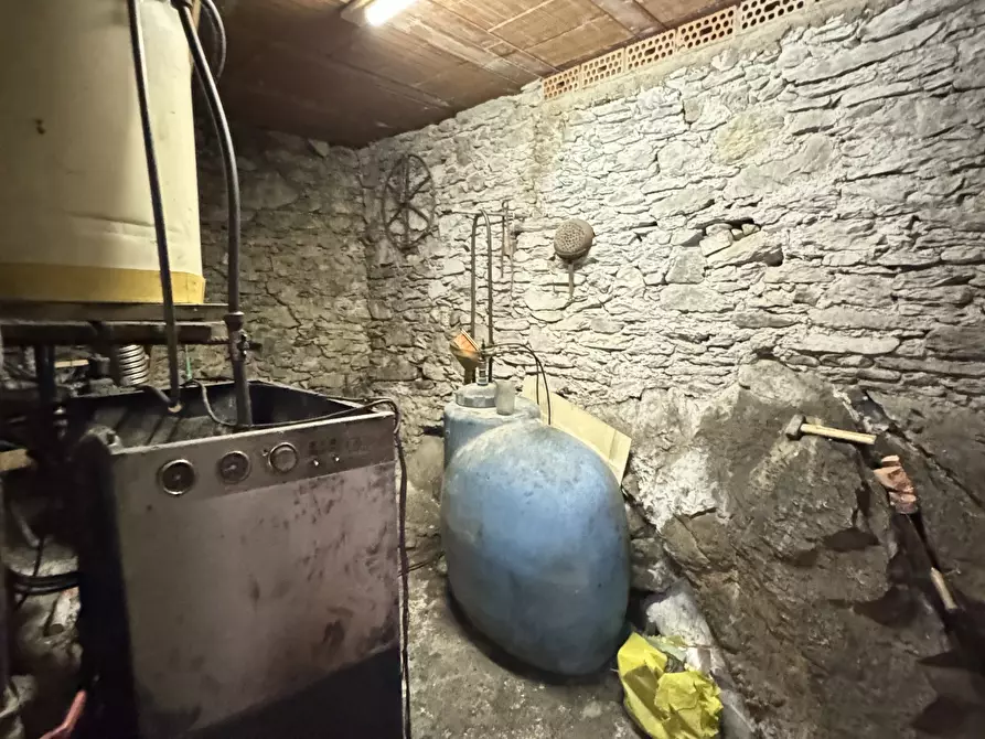 Immagine 43 di Terratetto in vendita  a Stazzema