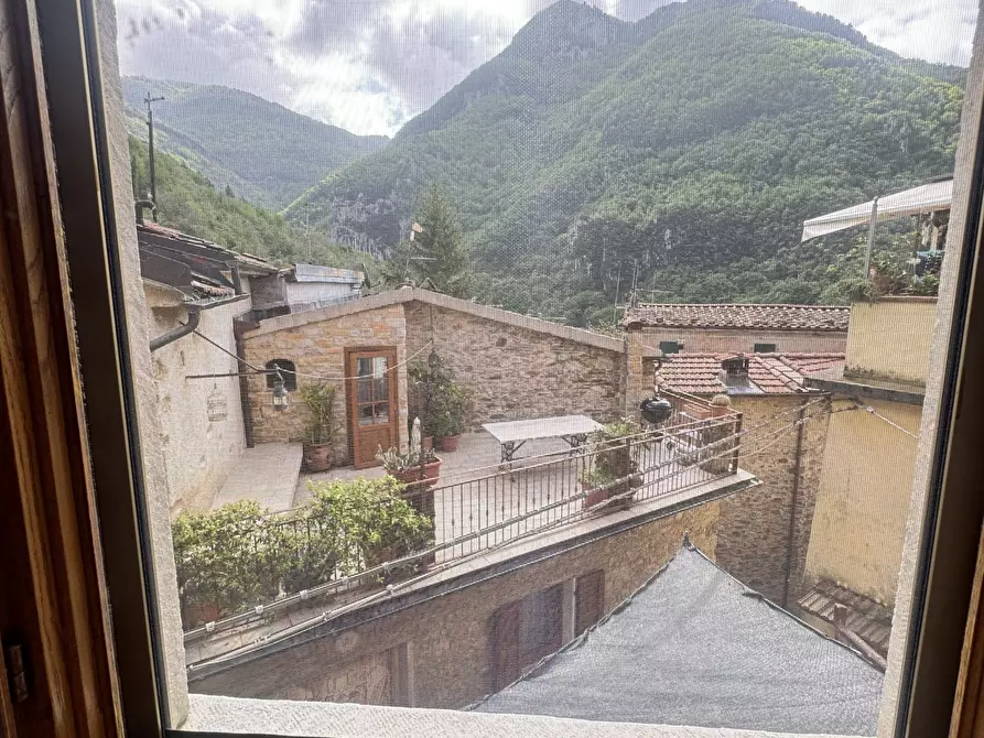 Immagine 24 di Terratetto in vendita  a Camaiore