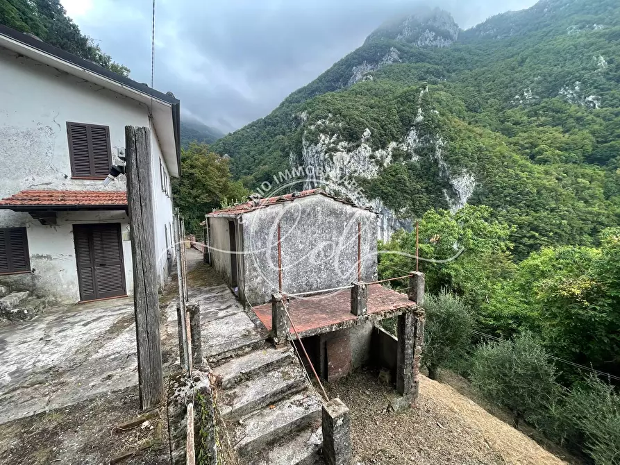 Immagine 31 di Porzione di casa in vendita  a Camaiore