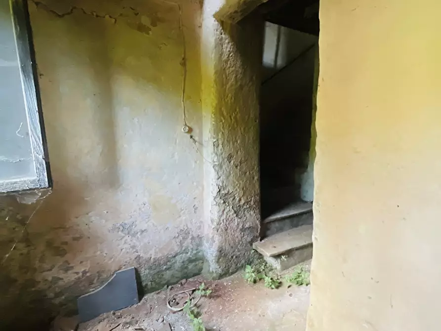 Immagine 16 di Rustico / casale in vendita  a Seravezza