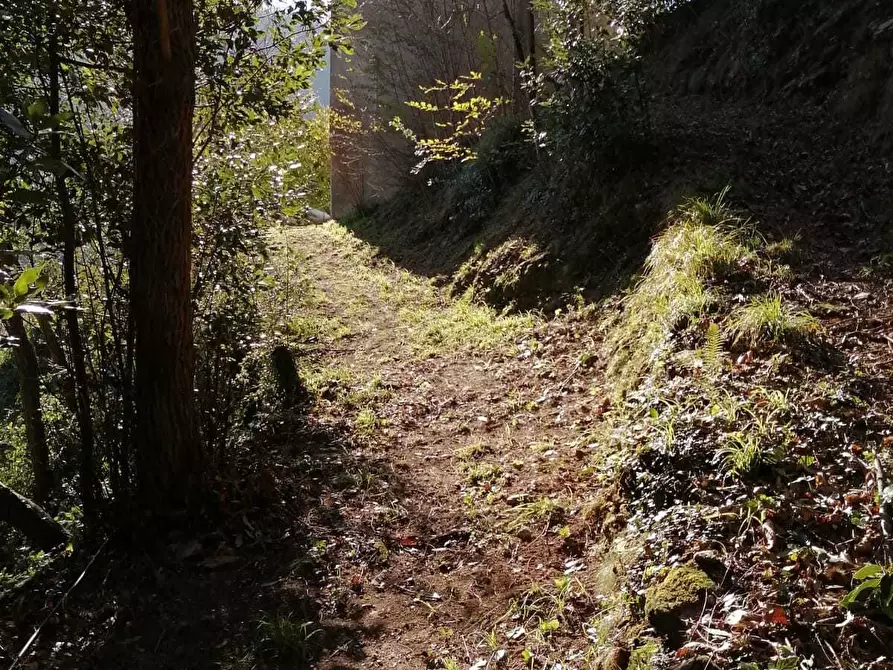 Immagine 23 di Porzione di casa in vendita  a Seravezza