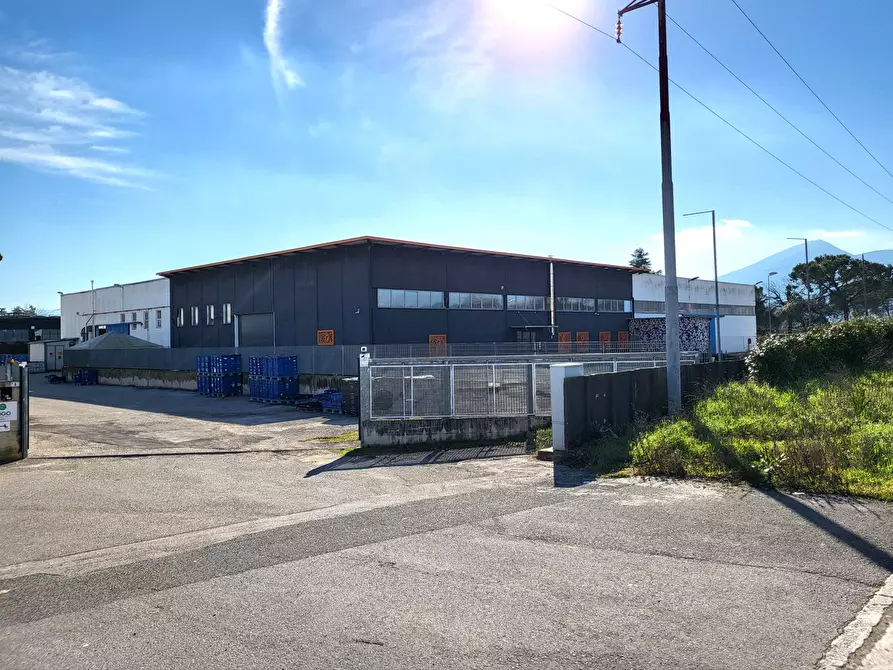 Immagine 15 di Attività artigianale in vendita  in Via ASI a Frosinone