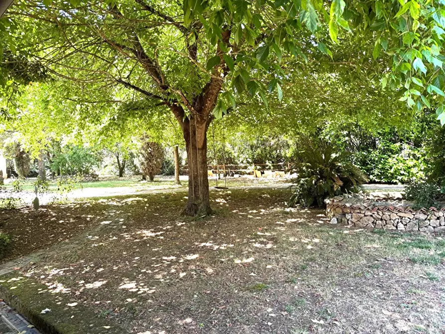 Immagine 37 di Casa indipendente in vendita  a Frosinone