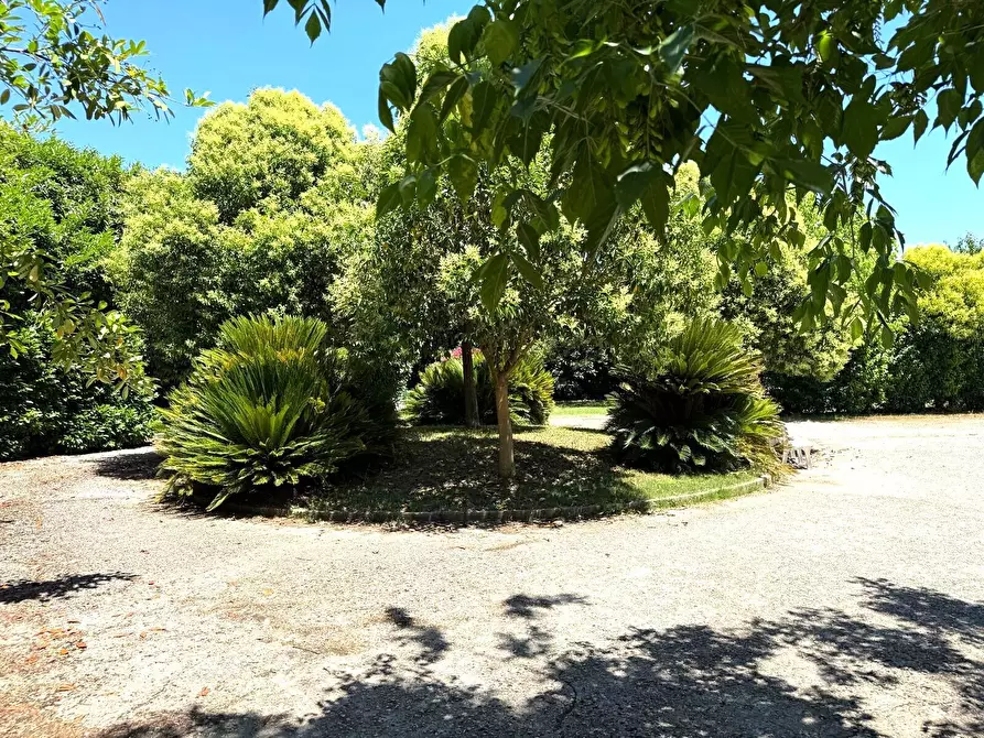Immagine 42 di Casa indipendente in vendita  a Frosinone