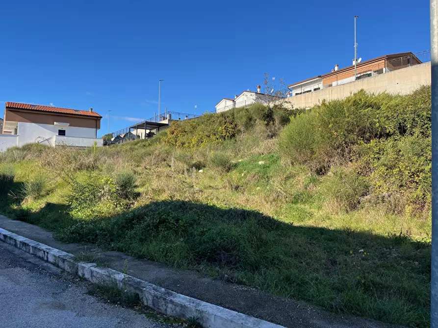 Immagine 7 di Terreno agricolo in vendita  in Via delle Mele a Segni