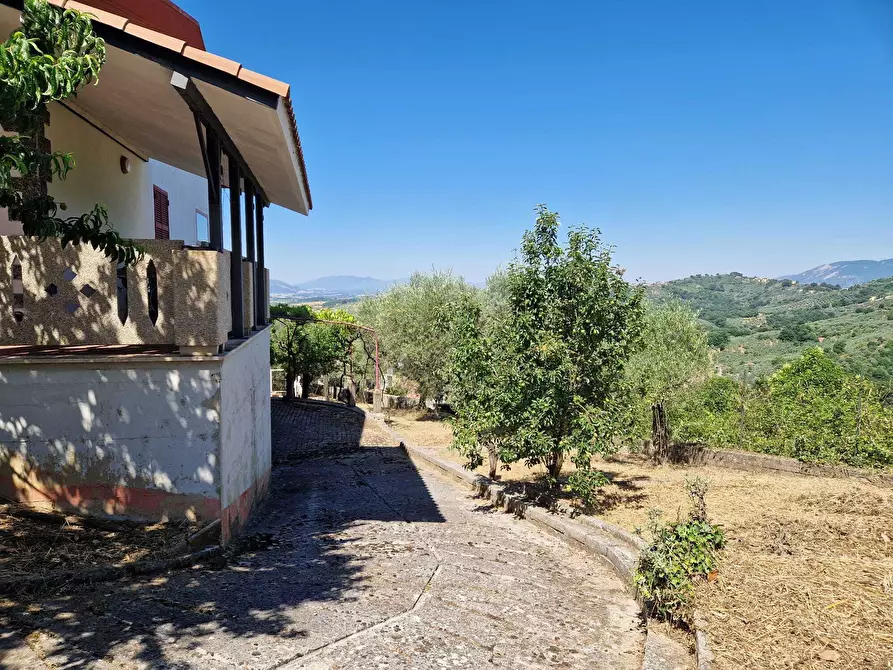 Immagine 5 di Villa in vendita  in Contrada Zancati Nuovo a Paliano