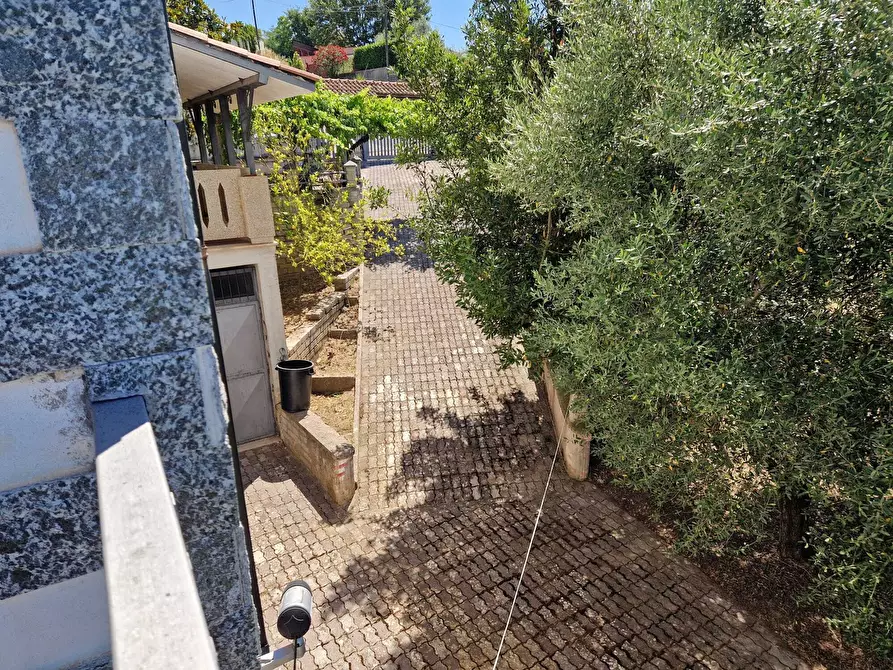 Immagine 8 di Villa in vendita  in Contrada Zancati Nuovo a Paliano