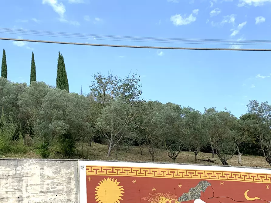 Immagine 3 di Terreno agricolo in vendita  in Via San Giorgetto a Anagni
