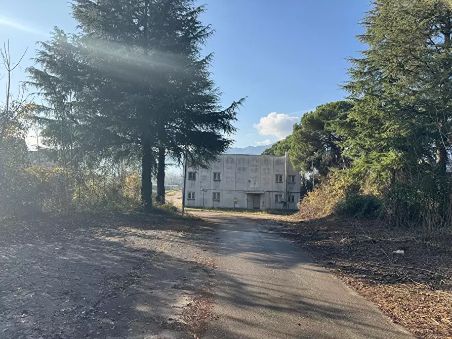 Immagine 2 di Attività artigianale in vendita  in Via ASI 7 15 a Ferentino