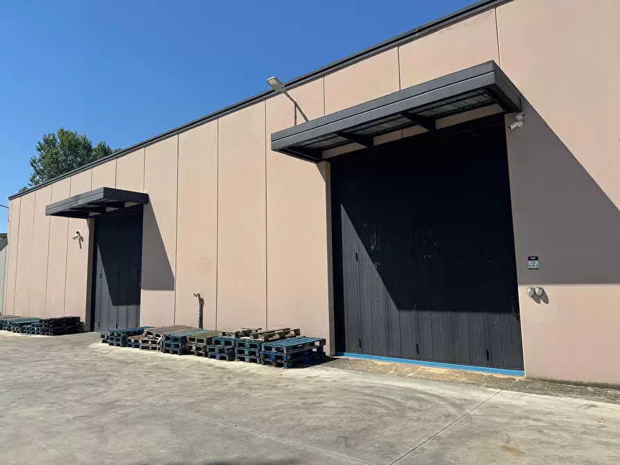 Immagine 23 di Capannone industriale in vendita  in Via Coste a Ripi