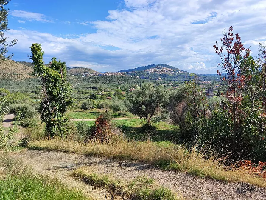 Immagine 4 di Terreno agricolo in vendita  in via col di mezzo a Guidonia Montecelio